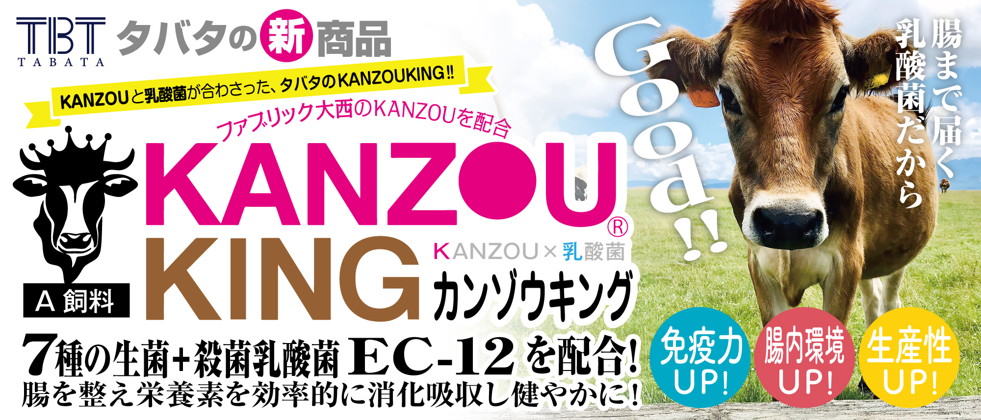 KANZOUKING